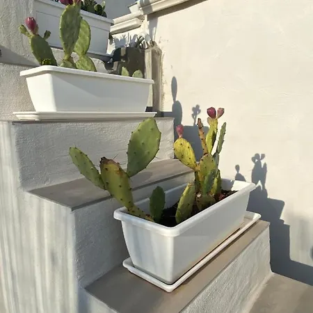 Dimora Apuliae• Dimora Di Puglia