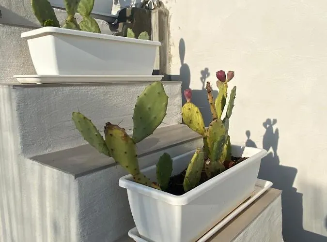 Dimora Apuliae• Dimora Di Puglia