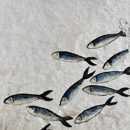 Dimora Apuliae• Dimora Di Puglia بيت للعطل بولينيانو آ ماري
